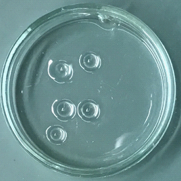 RA-1_アクリル_中間